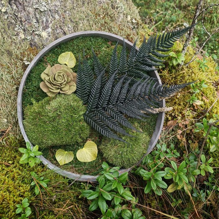 SAMMALTAULU 01, pyöreä tuotekuva 1