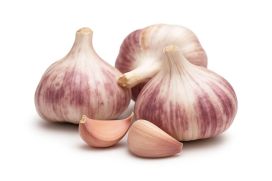 TALVIVALKOSIPULI 'GERMIDOUR' Allium sativum L. 'Germidour' 250 g