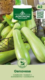 Kesäkurpitsa 'Genovese'