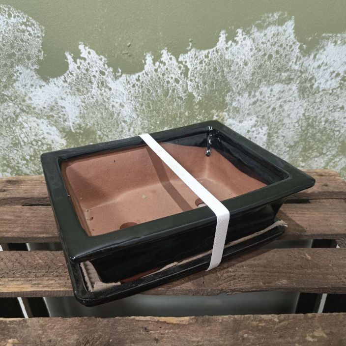 Bonsairuukku musta, m-koko Keskikokoinen, musta bonsairuukku Bonsairuukku musta, m-koko Keskikokoinen, musta bonsairuukku