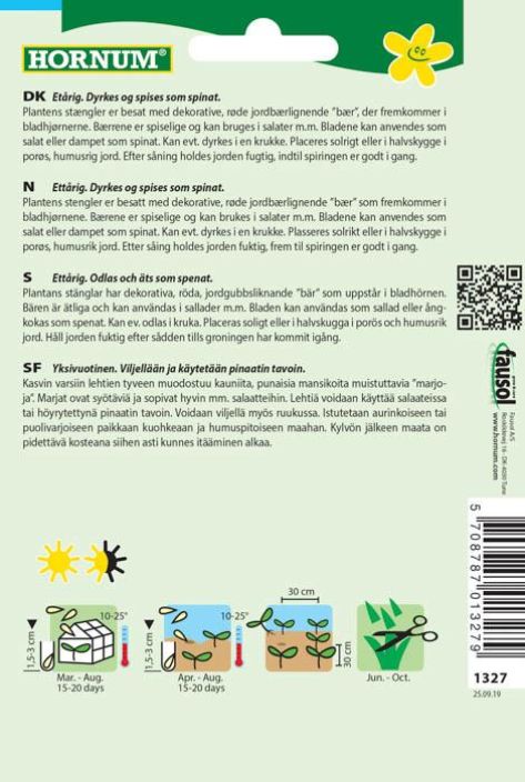 Mansikkapinaatti Chenopodium foliosum tuotekuva 1 Mansikkapinaatti Chenopodium foliosum tuotekuva 1