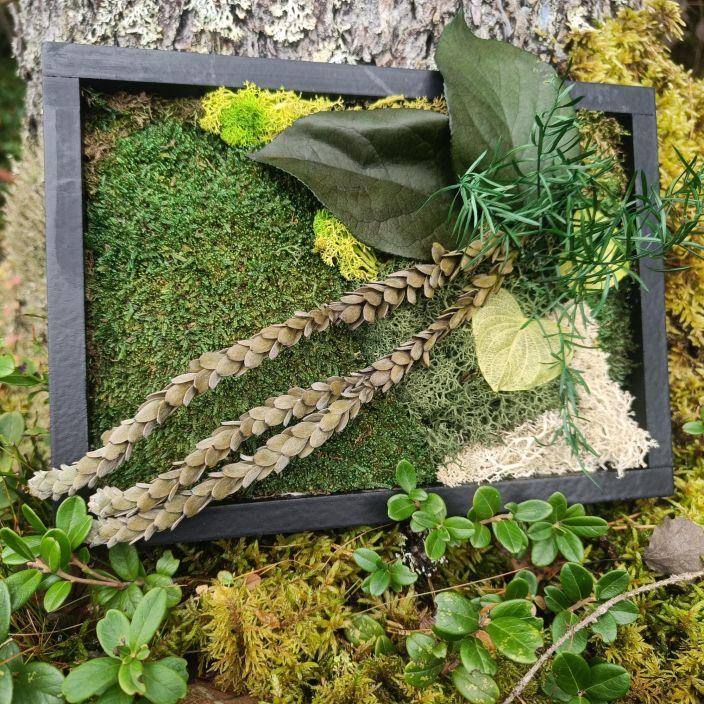 SAMMALTAULU 03, suorakulmio tuotekuva 1