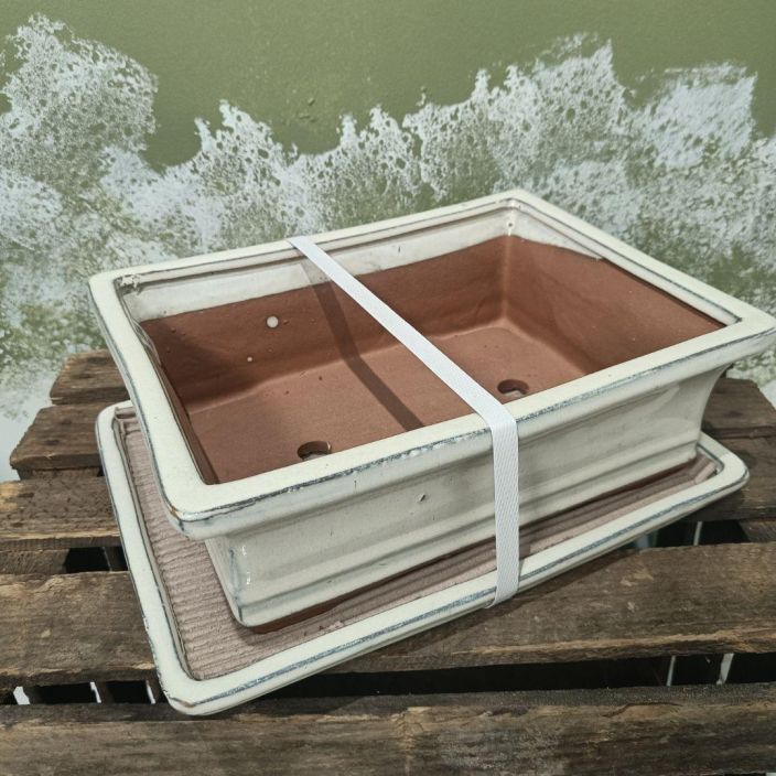 Bonsairuukku valkoinen, l-koko Valikoimamme suurin, valkoinen bonsairuukku Bonsairuukku valkoinen, l-koko Valikoimamme suurin, valkoinen bonsairuukku