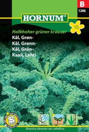 Lehtikaali 'Halbhoher grüner krauser' Brassica oleracea var. sabellica