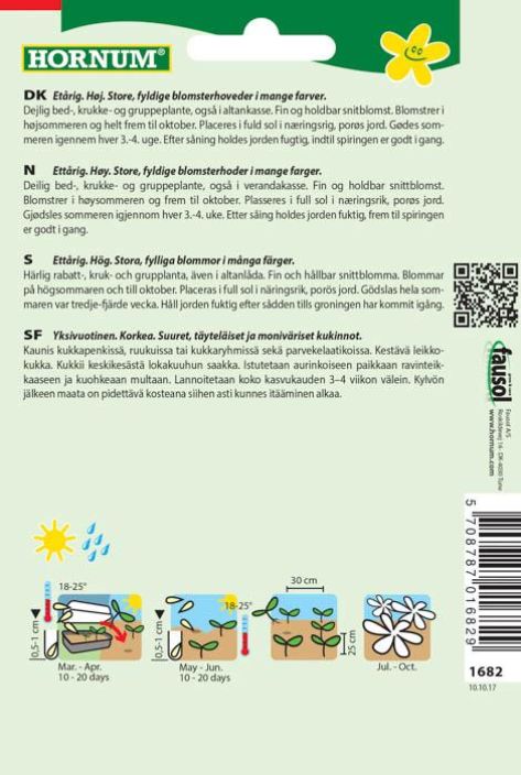 Isotsinnia, lajitelma 'California' Zinnia elegans tuotekuva 1 Isotsinnia, lajitelma 'California' Zinnia elegans tuotekuva 1