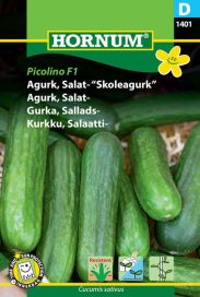 Salaattikurkku 'Picolino F1' Cucumis sativus