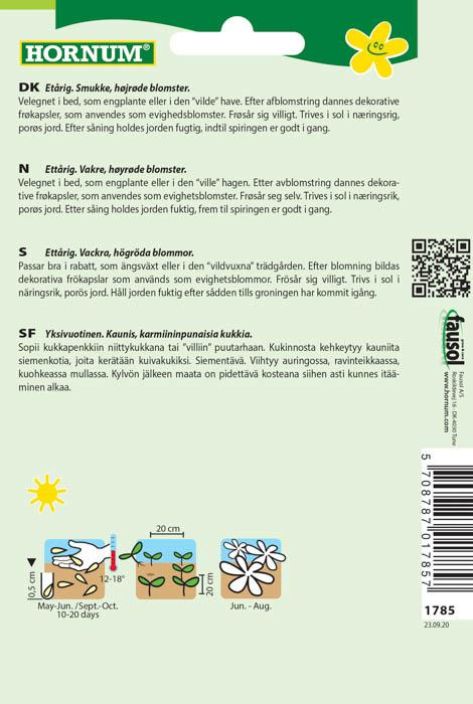 Silkkiunikko &#039;Summerdream&#039; Papaver rhoeas tuotekuva 1