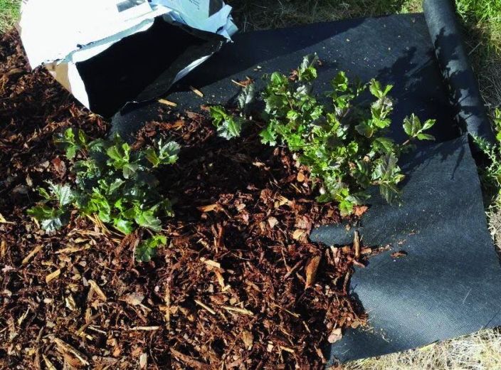 Hortex Aitakangas 0,4 x 15 m Polyesterista valmistettu luja katekangas. Hortex Aitakangas 0,4 x 15 m Polyesterista valmistettu luja katekangas.