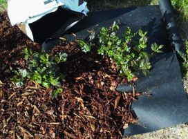 Hortex Aitakangas 0,4 x 15 m