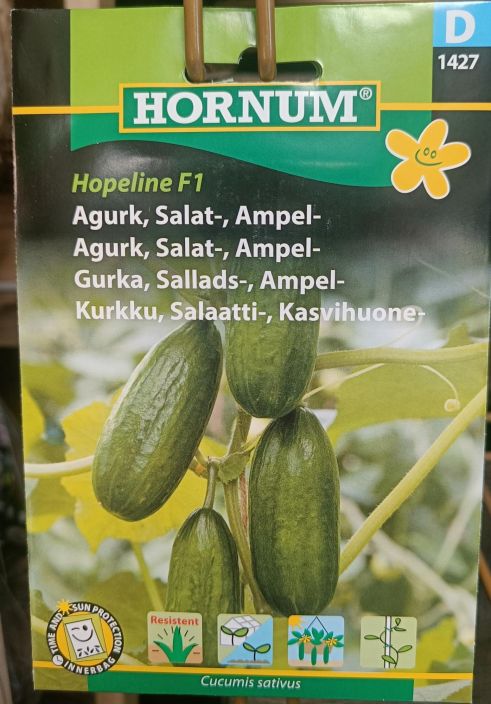 Kasvihuonekurkku 'Hopeline F1' Cucumis sativus Minikurkku, sopii kasvihuoneviljelyyn ja ikkunakurkuksi Kasvihuonekurkku 'Hopeline F1' Cucumis sativus Minikurkku, sopii kasvihuoneviljelyyn ja ikkunakurkuksi