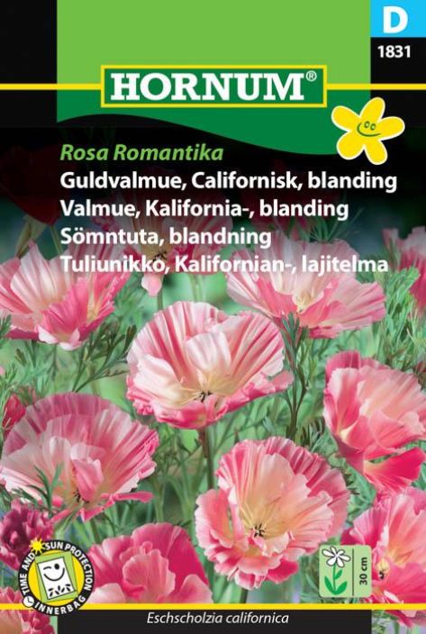 Tuliunikko, lajitelma 'Rosa Romantika' Tuliunikko, lajitelma 'Rosa Romantika'