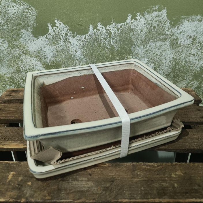 Bonsairuukku valkoinen, m-koko Valkoinen, keskikokoinen bonsairuukku Bonsairuukku valkoinen, m-koko Valkoinen, keskikokoinen bonsairuukku