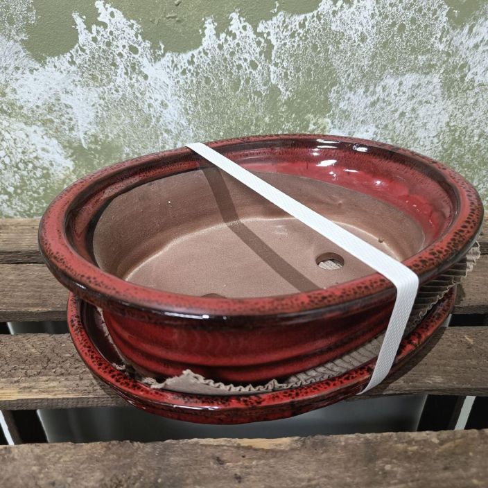 Bonsairuukku punainen, m-koko Punainen, keskikokoinen bonsairuukku Bonsairuukku punainen, m-koko Punainen, keskikokoinen bonsairuukku