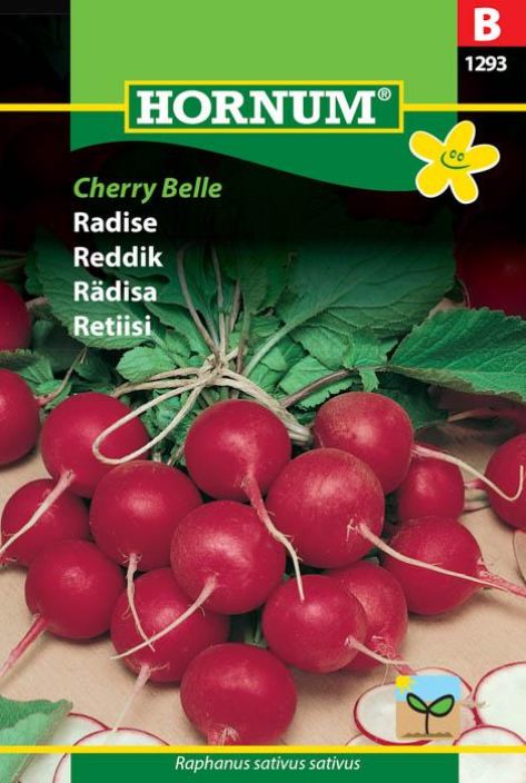Retiisi 'Cherry Belle' Retiisi 'Cherry Belle'